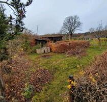 Schrebergarten Garten abzugeben (WesteralleeStille Liebe) - Flensburg Falkenberg