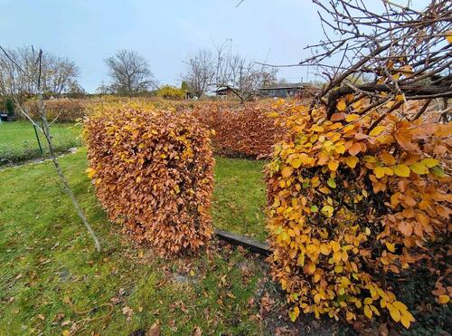 Foto - Grundst&uuml;ck in Flensburg zur Miete