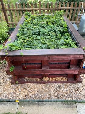 Foto - Grundst&uuml;ck zur Miete in Leipzig