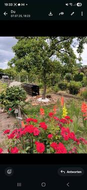 Foto - Garten in Pritzwalk ab Ende Juli abzugeben