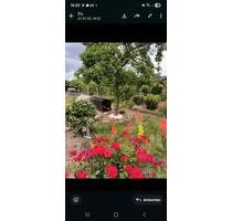 Garten in Pritzwalk ab Ende Juli abzugeben