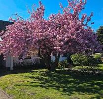 Wohnhaus in Fahrdorf provisionsfrei in bester Lage