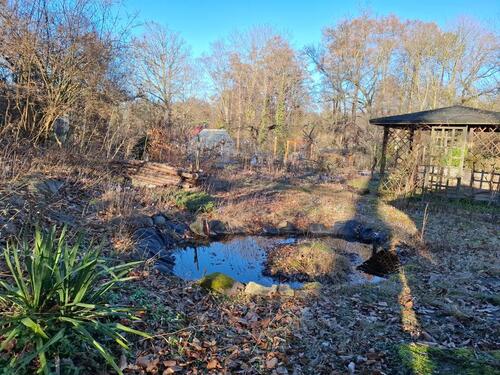 Foto - Naturnaher Garten-Traum am Rande der Dresdner Heide zu vergeben!