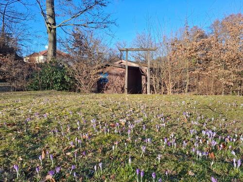 Foto - Grundst&uuml;ck in Dresden zur Miete