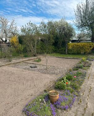 Foto - Grundst&uuml;ck in Cottbus zur Miete