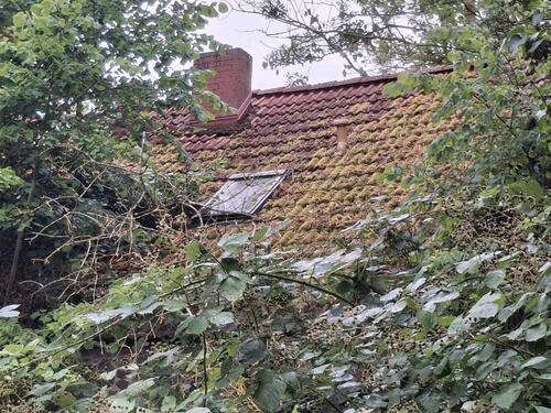 Foto - 4 Zimmer Einfamilienhaus in Tutow