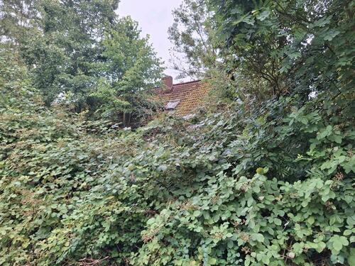 Foto - Einfamilienhaus in Tutow zum Kaufen