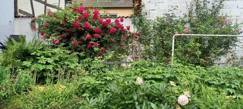 Foto - Einfamilienhaus in Feilbingert zum Kaufen