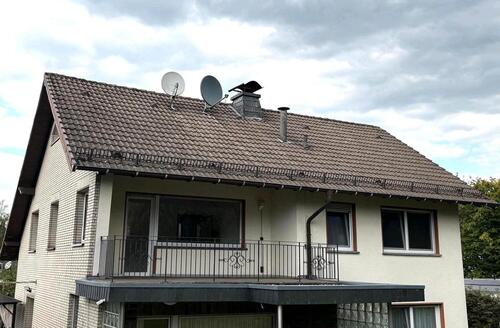 Foto - 3-4 Zimmerwohnung im Zentrum von Lindlar
