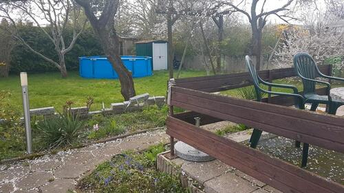 Foto - Grundst&uuml;ck zur Miete in Magdeburg