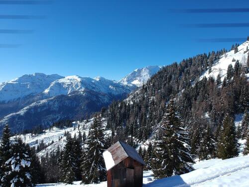 Foto - Berghütte zu verkaufen in den Belluneser DOLOMITEN