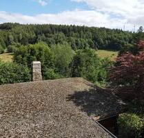 Urlaub Harz Ferienhaus Blockhaus 6 Pers. am Südhang mit 2 Kamine - Walkenried
