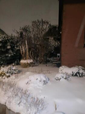 Foto - 8 Zimmer Mehrfamilienhaus, Wohnhaus in Osnabrück