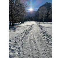 freie, renovierte, ruhige und elegante 2,5-Zimmer Wohnung - München Schwanthalerhöhe