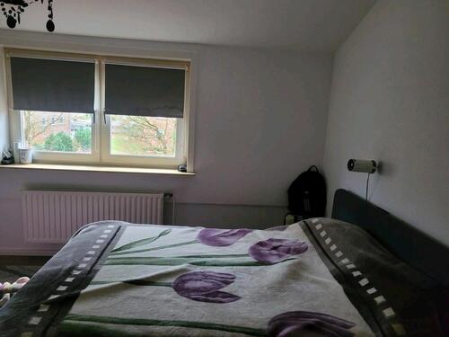 Foto - 3 Zimmer Etagenwohnung zur Miete in Munster