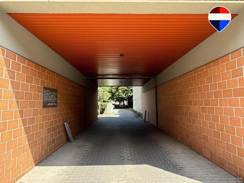 Foto - andere in Haldensleben