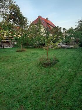 Foto - Einfamilienhaus in Ribnitz-Damgarten zum Kaufen