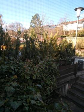 Foto - Einfamilienhaus mit Einliegerwohnung