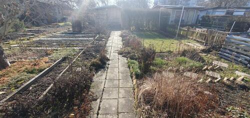 Foto - Gepflegter Garten im Leipziger Norden