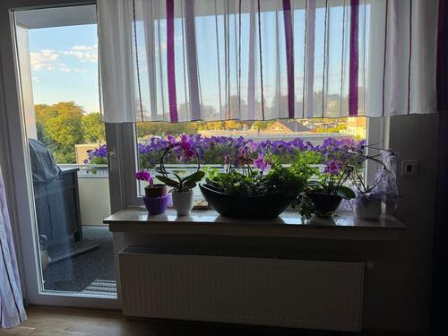 Foto - 3-Zimmer-EG-Wohnung mit Balkon – Privatverkauf (ohne Makler)
