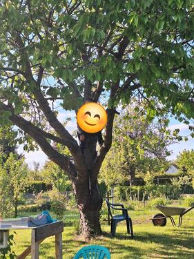 Foto - Grundst&uuml;ck zur Miete in Braunsbedra