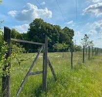 Streuobst- heu- Zelt- Freizeit- Wiese von privat - Bad Freienwalde (Oder)