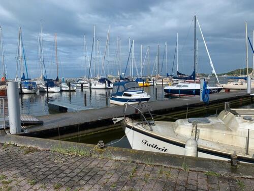 Foto - Gemütliche Wohnung in Barth mit Gartenbenutzung