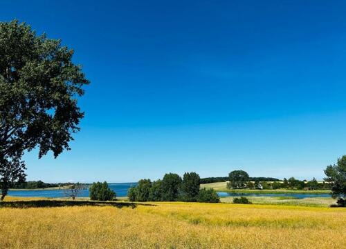 Foto - Helle 3 Zimmer Wohnung mit Wannenbad und großem Balkon