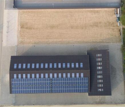 Foto - andere zur Miete in Haselünne