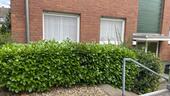 Foto - 4 Zimmer Erdgeschoßwohnung in Neuss