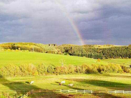 Foto - WOHNEN mit PFERDEN Natur idyllische Aussichtslage 3ZKBBalkon