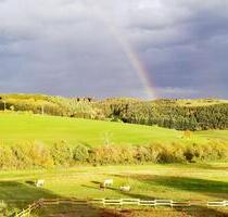 WOHNEN mit PFERDEN Natur idyllische Aussichtslage 3ZKBBalkon - Bleialf