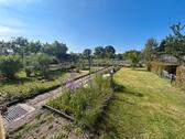Foto - Pachtgarten in Forst (Lausitz) 400m2