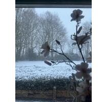 Wohnung zu vermieten - 800,00&nbsp;EUR Kaltmiete, ca.&nbsp; 50,00&nbsp;m&sup2; in Schüttorf (PLZ: 48465)