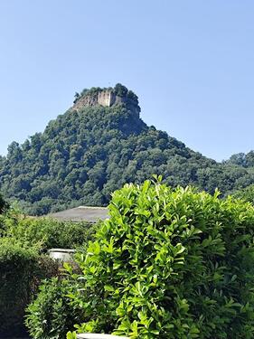 Foto - 1-Zimmer WohnungMonteurzimmerApartment