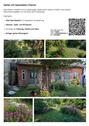 Foto - 14 Zimmer Einfamilienhaus in Tessin