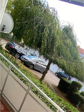 Foto - Stellplatz vermieten - 50,00 EUR Miete,