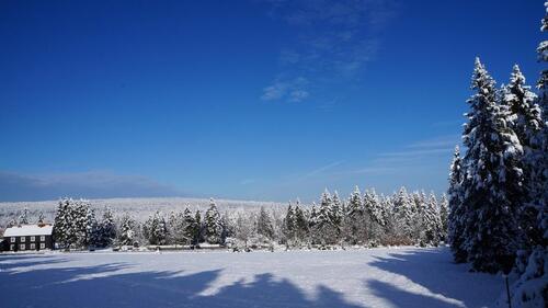 Foto - Winterzauber im Harz Braunlage OT St. Andreasberg