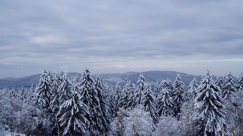 Foto - andere in Braunlage