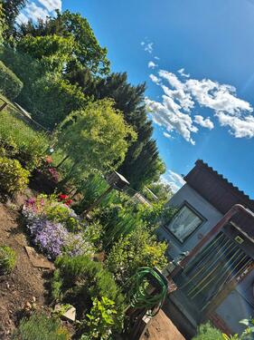 Foto - Garten in Quedlinburg abzugeben