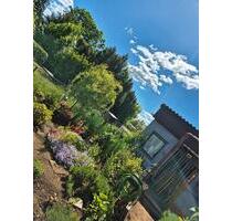 Garten in Quedlinburg abzugeben - Thale