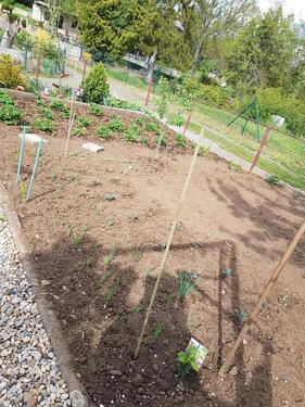Foto - Grundst&uuml;ck in Thale zur Miete