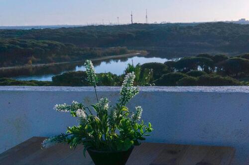 Foto - Ferienwohnung in El Portil (Andalusien) - Meer und Natur