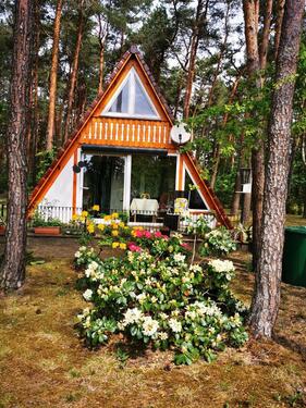 Foto - Schöne Finnhütte am Silbersee in Lohsa
