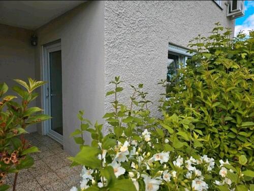 Foto - 1-Zimmer-Wohnung mit Terrasse - 450,00 EUR Kaltmiete, ca.  29,00 m²