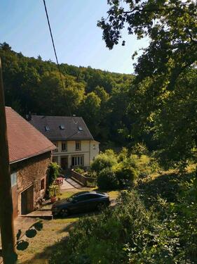 Foto - Wunderschön gelegene Alte Mühle
