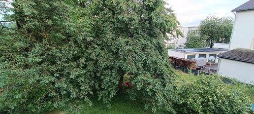 Foto - Etagenwohnung in Büren