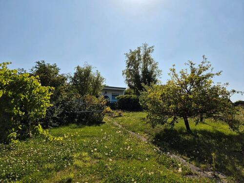 Foto - Grundstück in Vacha zur Miete