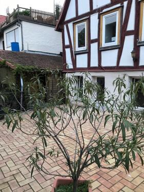 Foto - Etagenwohnung in Gelnhausen zur Miete