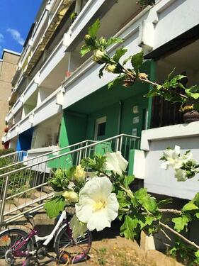 Foto - 3 Zimmer Etagenwohnung zur Miete in Dessau-Roßlau